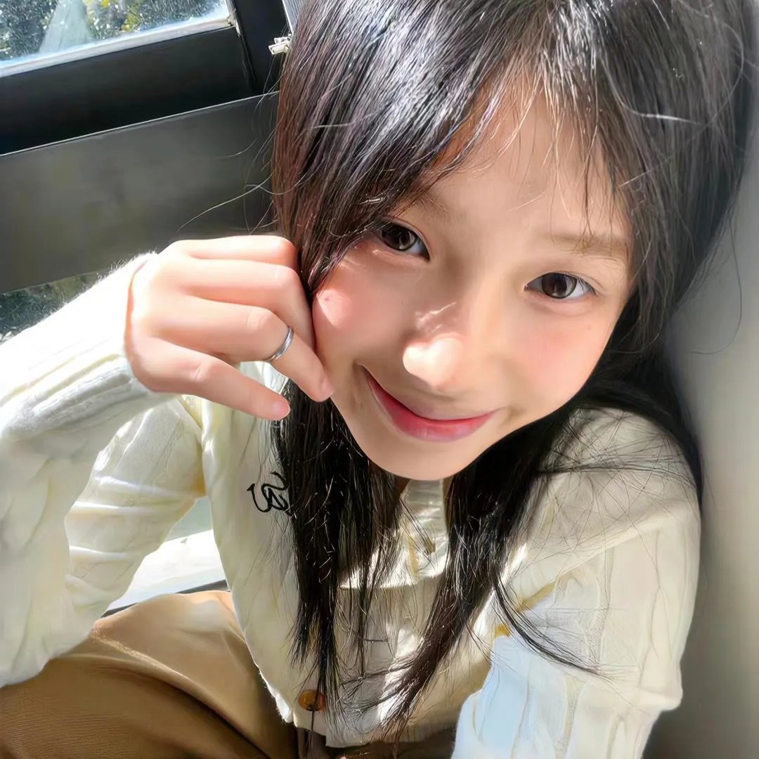 金车换玉人 海报