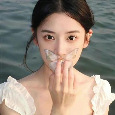 网交陷阱 海报
